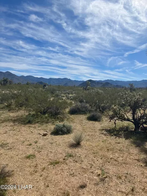 0000 S Rutz Rd, Yucca, AZ 86438
