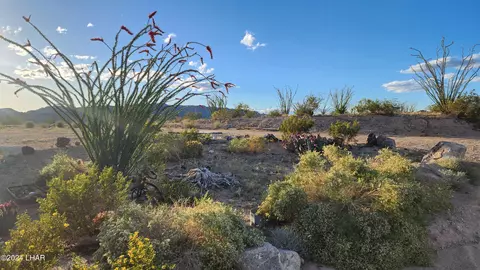 14279 Anegam Rd, Yucca, AZ 86438 photo 7