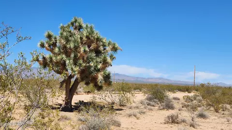 2116 E Mesquite Dr, Yucca, AZ 86438