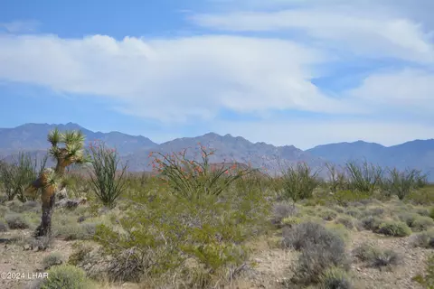 F12 S Red Lake Rd, Yucca, AZ 86438
