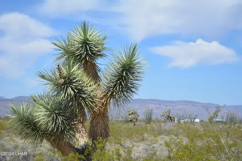 P7 S Central Rd, Yucca, AZ 86438