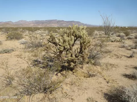 lot49 51 Rio Vista 2 Subdivision, Topock, AZ 86436
