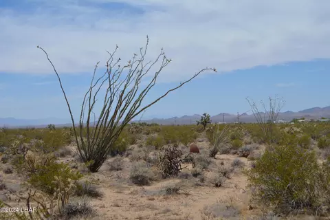 4 S Lots S Carmen Rd, Yucca, AZ 86438