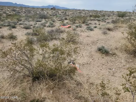 10018 Apache Rd, Yucca, AZ 86438 photo 3