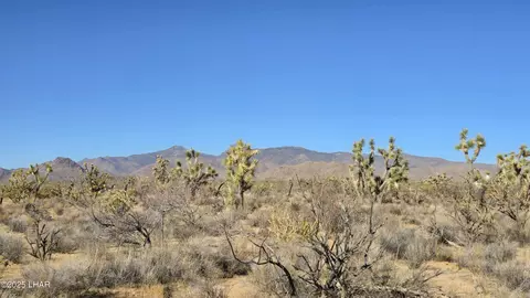 2358 S Cattle Crossing Rd, Yucca, AZ 86438