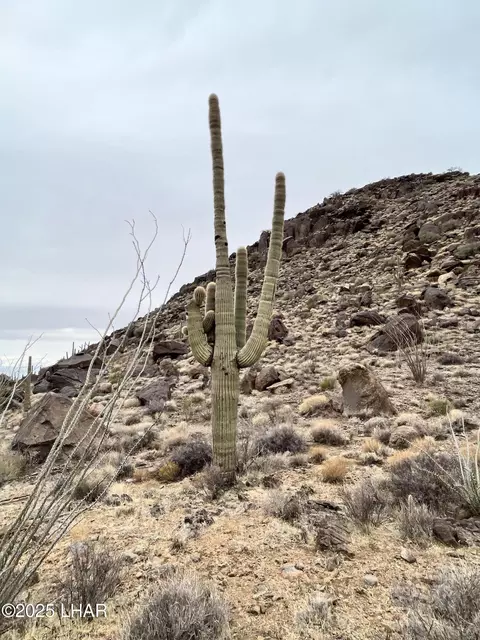 0 Allison Dr, Yucca, AZ 86438 photo 13