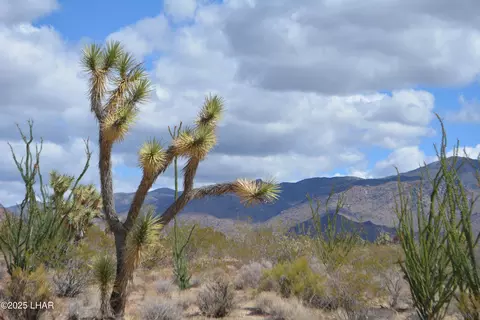767 E Alamola Cienega Dr, Yucca, AZ 86438