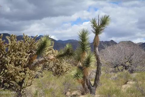 L9 S Jenny Rd, Yucca, AZ 86438