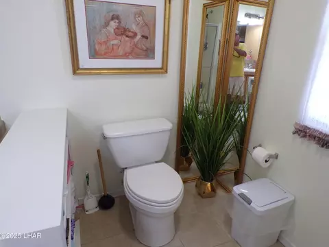 Bath - 44112 Ocotillo St, Bouse, AZ 85325 photo 2 of 10
