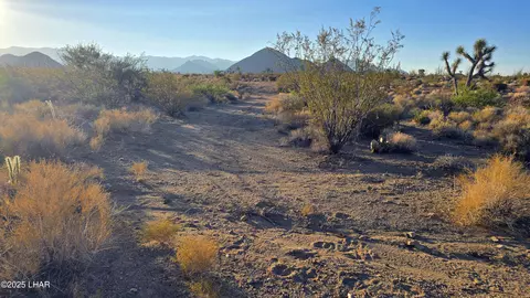 244-08 E 007 E Allison Dr, Yucca, AZ 86438 photo 25
