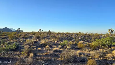 244-08 E 007 E Allison Dr, Yucca, AZ 86438 photo 23