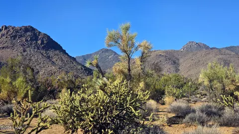 2 S Cattle Crossing Rd # B, Yucca, AZ 86438