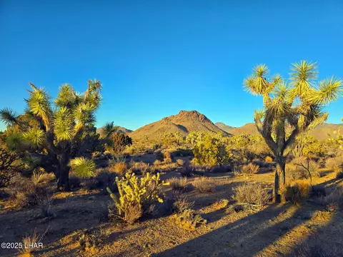 2886 S Cattle Crossing Rd, Yucca, AZ 86438