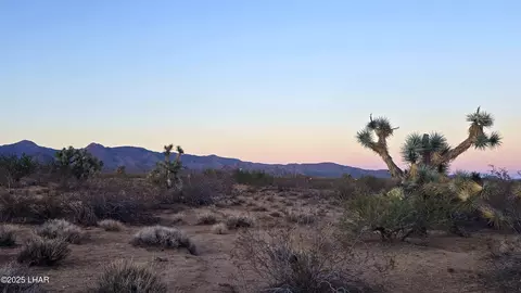 225 S Dead Eye Rd, Yucca, AZ 86438