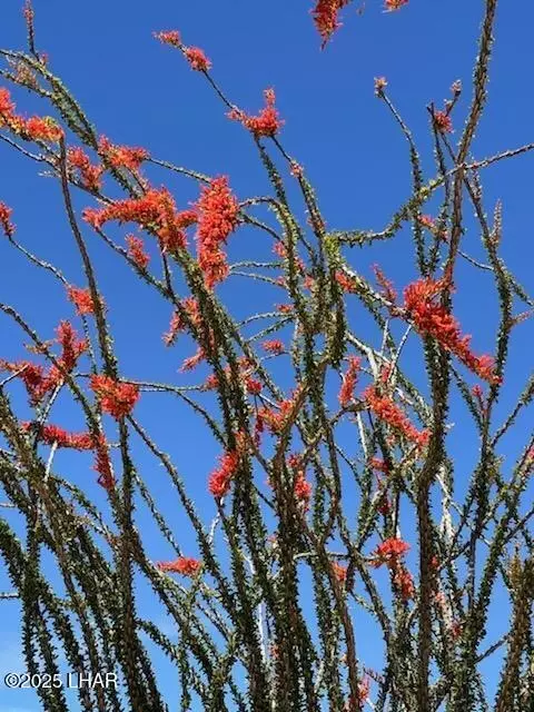 8375 E Cholla Dr, Yucca, AZ 86438 photo 26