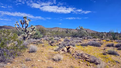 8375 E Cholla Dr, Yucca, AZ 86438 photo 35