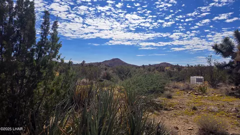 8375 E Cholla Dr, Yucca, AZ 86438 photo 31