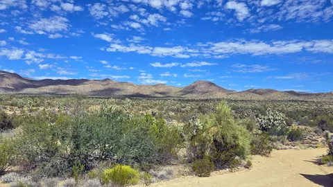 8375 E Cholla Dr, Yucca, AZ 86438 photo 27