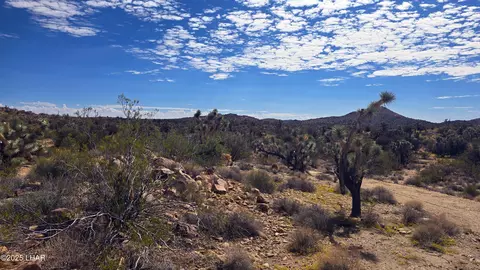 8375 E Cholla Dr, Yucca, AZ 86438 photo 29