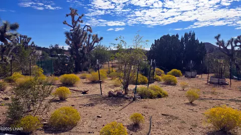 8375 E Cholla Dr, Yucca, AZ 86438 photo 23