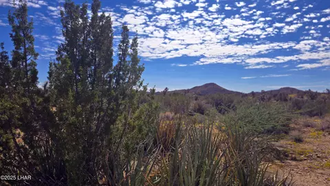 8375 E Cholla Dr, Yucca, AZ 86438 photo 33