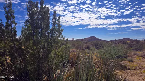 8375 E Cholla Dr, Yucca, AZ 86438 photo 19