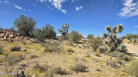 8375 E Cholla Dr, Yucca, AZ 86438 photo 21