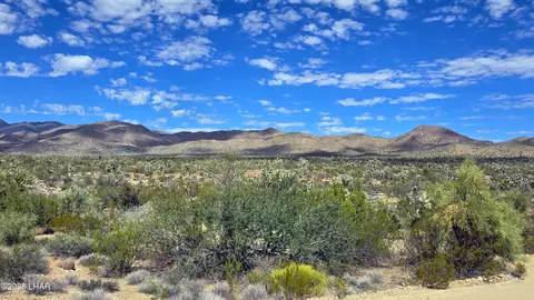 8375 E Cholla Dr, Yucca, AZ 86438 photo 24