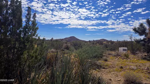 8375 E Cholla Dr, Yucca, AZ 86438 photo 17