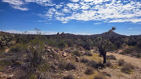 8375 E Cholla Dr, Yucca, AZ 86438 photo 15