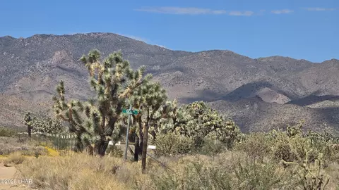 8375 E Cholla Dr, Yucca, AZ 86438 photo 29