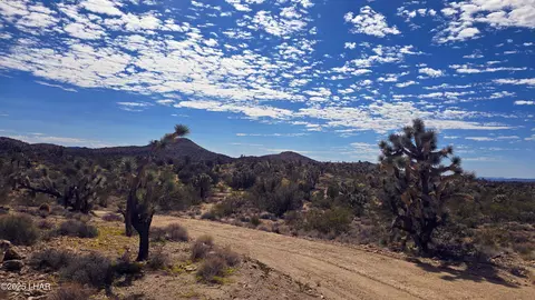 8375 E Cholla Dr, Yucca, AZ 86438 photo 30