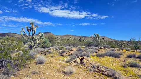 8375 E Cholla Dr, Yucca, AZ 86438 photo 34