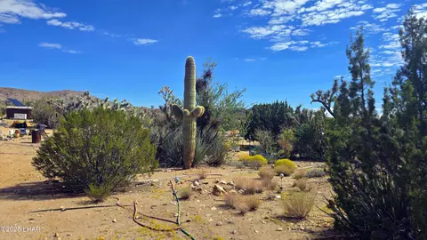 8375 E Cholla Dr, Yucca, AZ 86438 photo 19