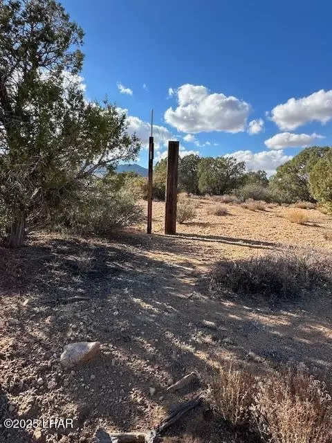 0000 N Running Brook Dr, Hackberry, AZ 86411 photo 12