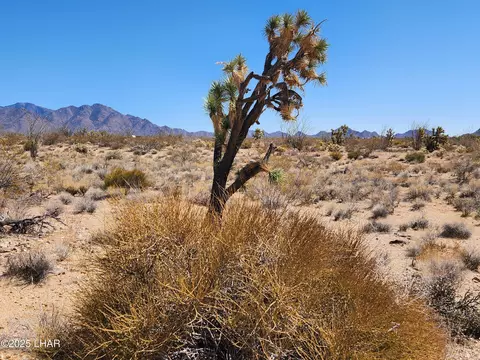 lot357 E Adobe Dr, Yucca, AZ 86438 photo 2