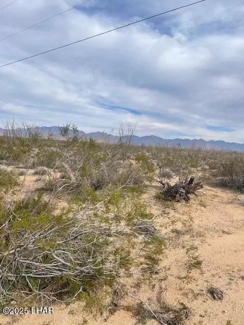3048 S Ray Rd # C, Yucca, AZ 86438