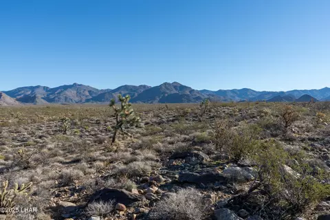 lot1 E High Nash St, Yucca, AZ 86438