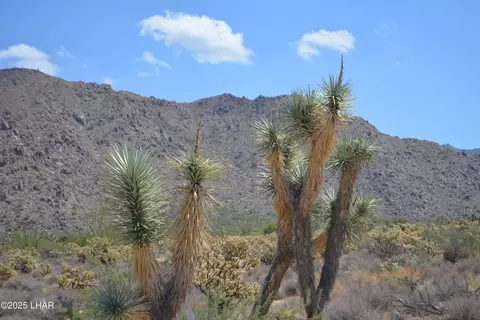 11869 Central Rd, Yucca, AZ 86438