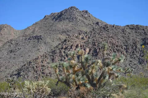 2279 E Margaret Dr, Yucca, AZ 86438 photo 21