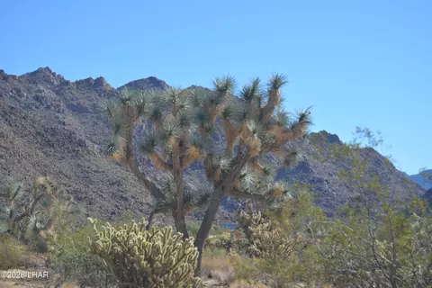 2279 E Margaret Dr, Yucca, AZ 86438 photo 6