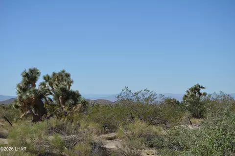 2279 E Margaret Dr, Yucca, AZ 86438 photo 42