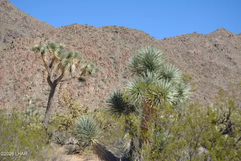 2279 E Margaret Dr, Yucca, AZ 86438 photo 54