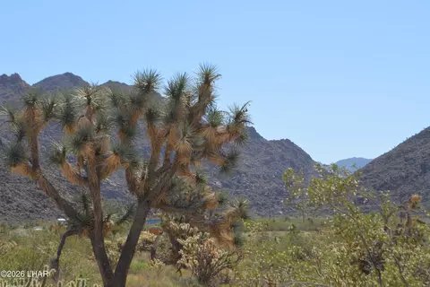 2279 E Margaret Dr, Yucca, AZ 86438 photo 66