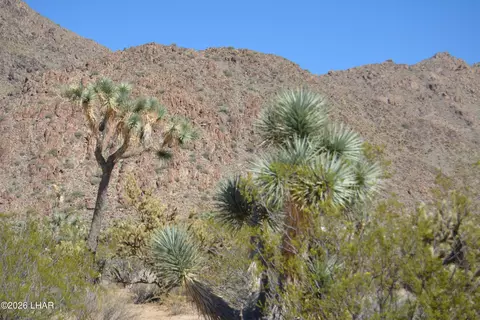 2279 E Margaret Dr, Yucca, AZ 86438 photo 55