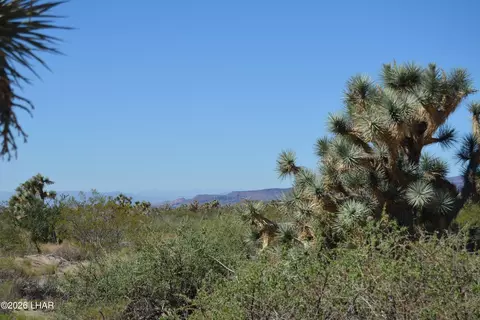 2279 E Margaret Dr, Yucca, AZ 86438 photo 34