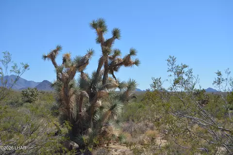 2279 E Margaret Dr, Yucca, AZ 86438 photo 53