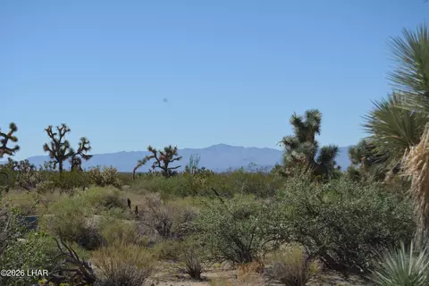 2279 E Margaret Dr, Yucca, AZ 86438 photo 47