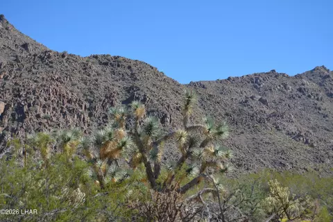 2279 E Margaret Dr, Yucca, AZ 86438 photo 24