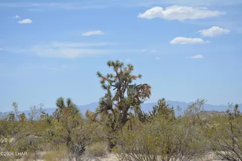 2279 E Margaret Dr, Yucca, AZ 86438 photo 87